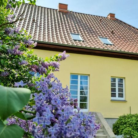 BruelGutshaus Neu Nechelnアパートメント エクステリア 写真